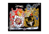 Coat of Arms Family Crests
